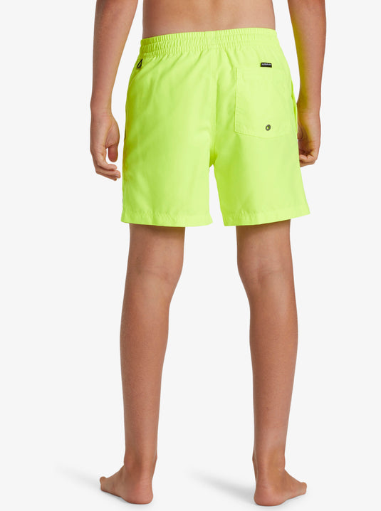 Quiksilver Kids' Everyday Solid Volley Youth 14