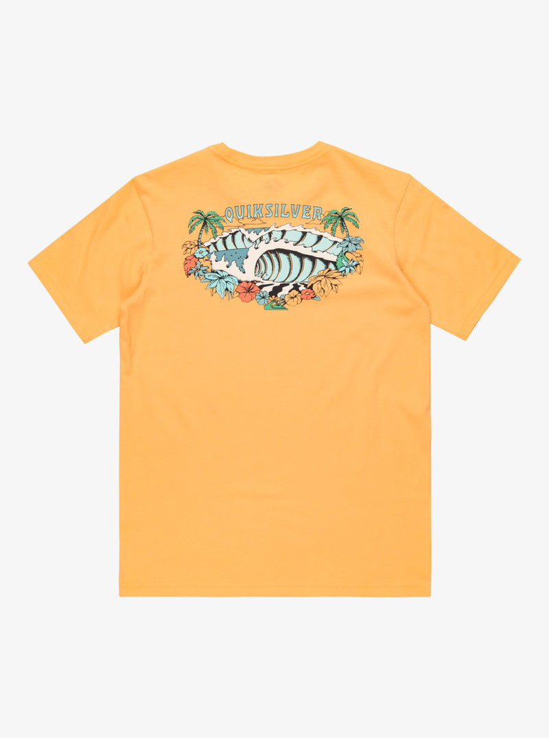 Load image into Gallery viewer, Quiksilver Kids&#39; Evo Aqua Wild Short Sleeves T-Shirt Chamois EQBZT04835_NGR0
