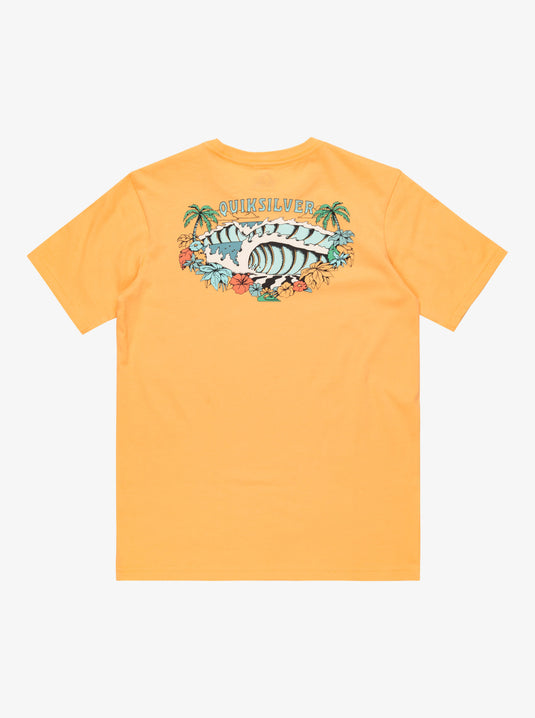 Quiksilver Kids' Evo Aqua Wild Short Sleeves T-Shirt Chamois EQBZT04835_NGR0