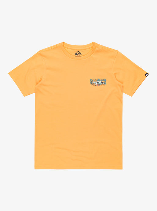 Quiksilver Kids' Evo Aqua Wild Short Sleeves T-Shirt Chamois EQBZT04835_NGR0