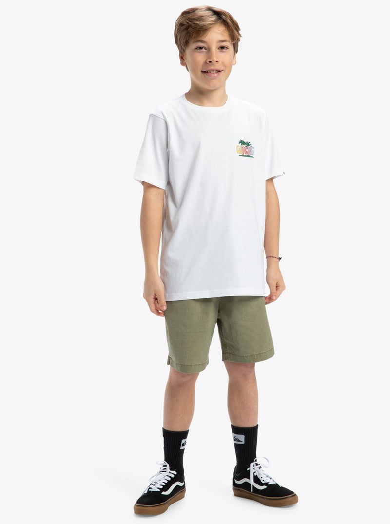 Load image into Gallery viewer, Quiksilver Kids&#39; Ev Sunny Palms Short Sleeves T-Shirt White EQBZT04855_WHT
