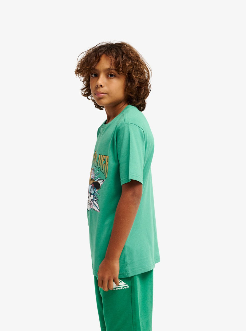 Load image into Gallery viewer, Quiksilver Kids' Sound On T-Shirt (8-14 Years) Leprechaun EQBZT04958-GNZ0
