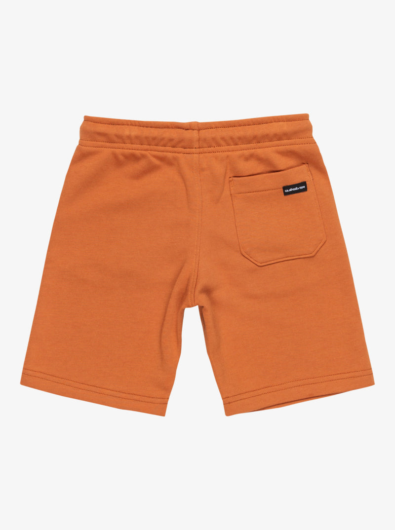 Load image into Gallery viewer, Quiksilver Kids&#39; Easy Day Elastic Waist Shorts (2-7 years) Bran EQKFB03120_CMN0
