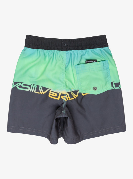 Quiksilver Kids' Everyday Straight 12