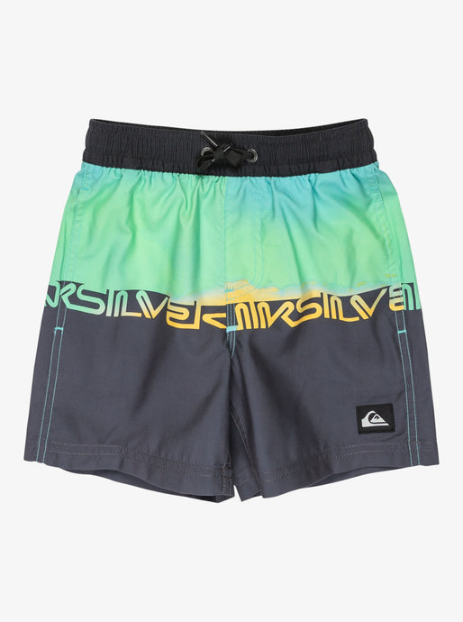 Quiksilver Kids' Everyday Straight 12