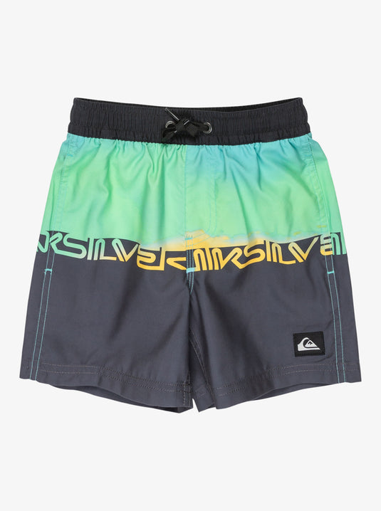 Quiksilver Kids' Everyday Straight 12