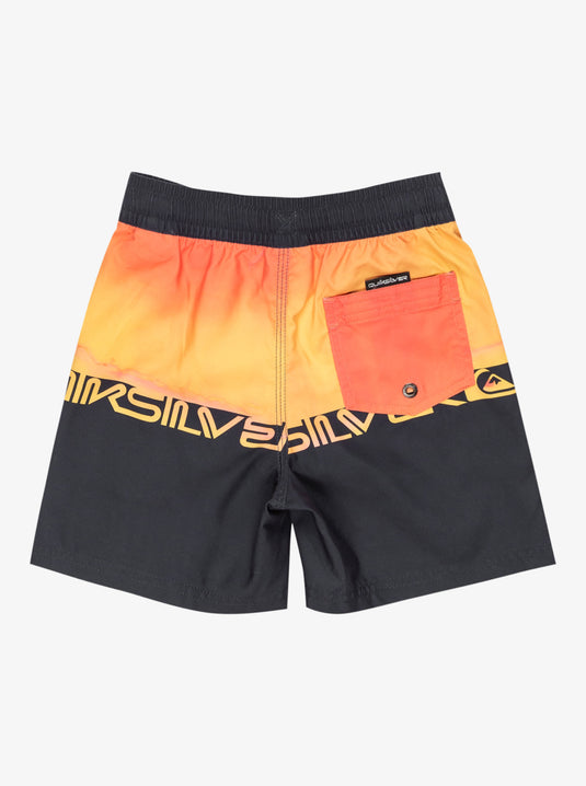 Quiksilver Kids' Everyday Straight 12