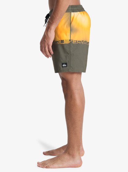 Load image into Gallery viewer, Quiksilver Men's Everyday 16'' Swim Shorts Grape Leaf Wordblock EQYBS04897-CRE6

