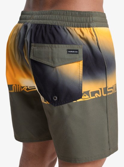 Quiksilver Men's Everyday 16'' Swim Shorts Grape Leaf Wordblock EQYBS04897-CRE6