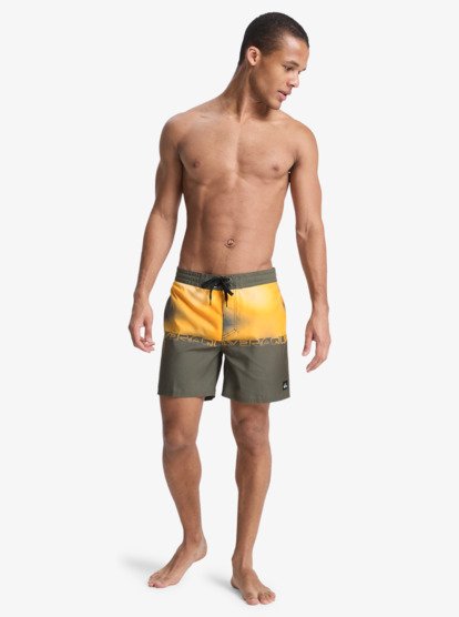 Load image into Gallery viewer, Quiksilver Men's Everyday 16'' Swim Shorts Grape Leaf Wordblock EQYBS04897-CRE6
