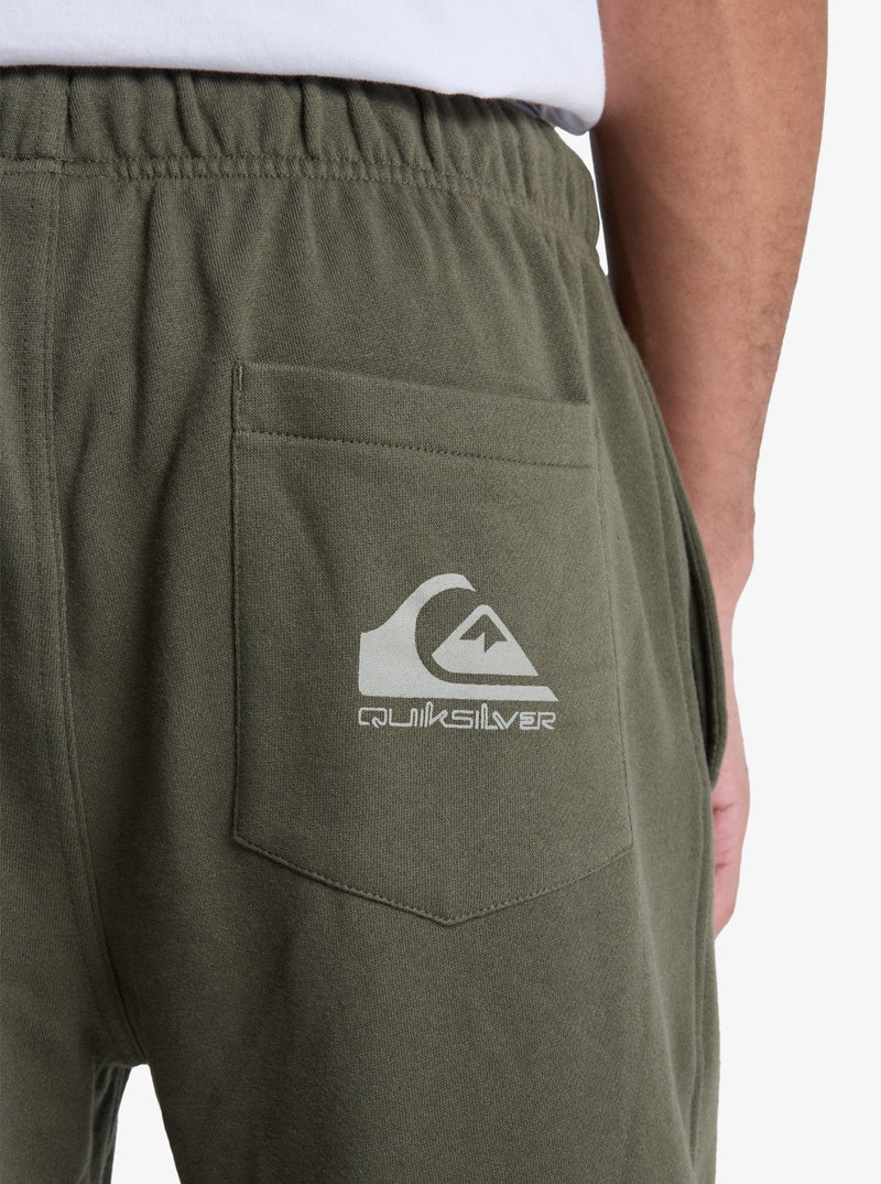 Load image into Gallery viewer, Quiksilver Men&#39;s Graphic Joggers Pants Grape Leaf EQYFB03402-CRE0
