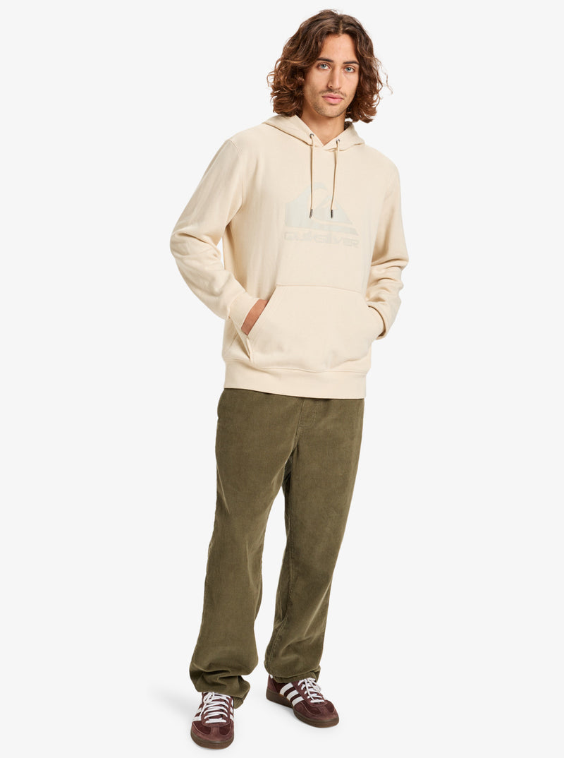 Load image into Gallery viewer, Quiksilver Men&#39;s Comp Logo Hoodie Bone White EQYFT05053_WBS0

