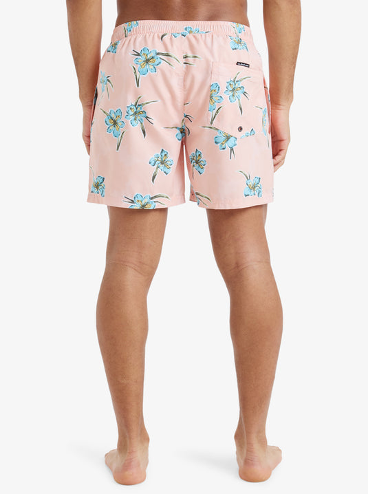 Quiksilver Men's Everyday Straight 15