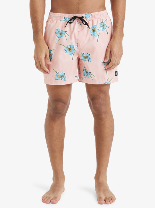Quiksilver Men's Everyday Straight 15