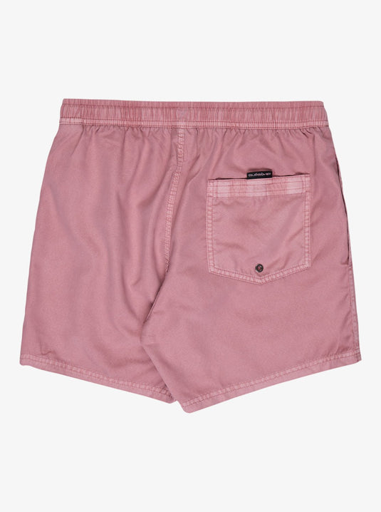 Quiksilver Men's Everyday Surfwash Volley 15