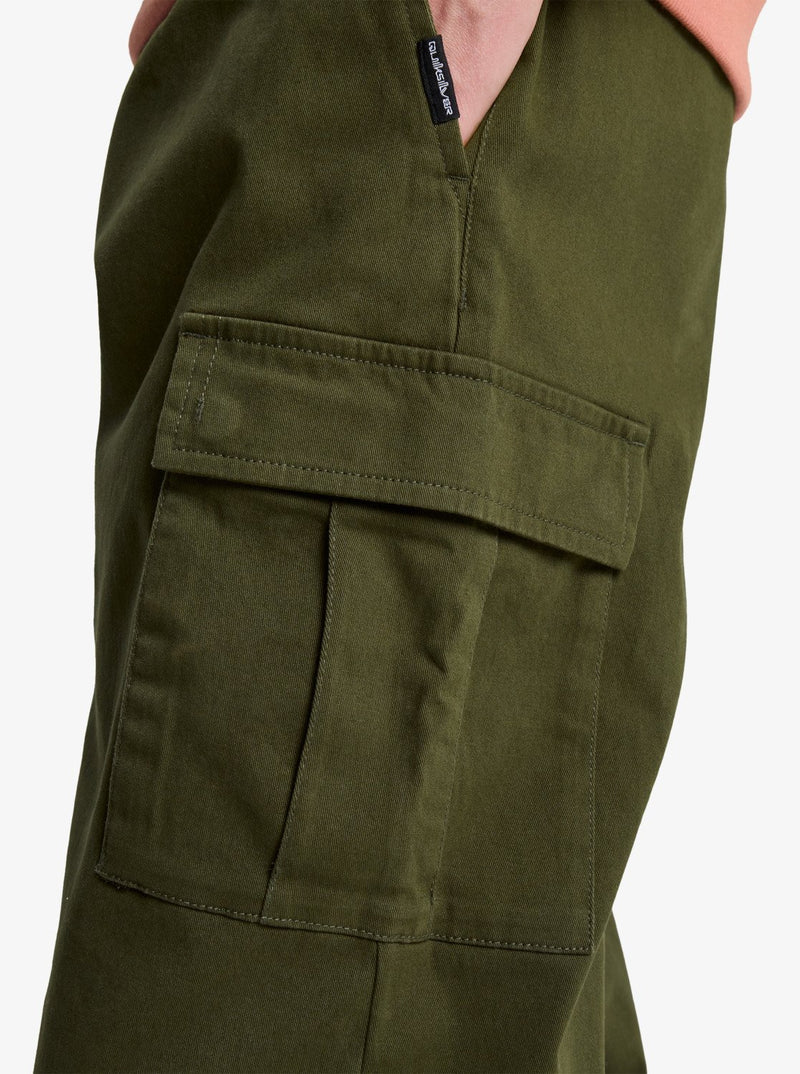 Load image into Gallery viewer, Quiksilver Men&#39;s Taxer Regular Cargo Pants Grape Leaf EQYNP03337-CRE0
