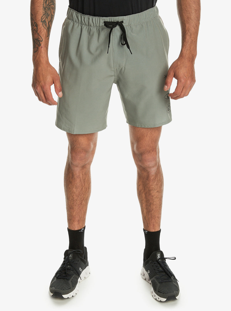 Load image into Gallery viewer, Quiksilver Men&#39;s Omni 17&quot; Training Shorts Sea Spray EQYWS03836-GLW0
