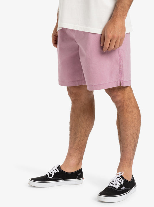 Quiksilver Men's Taxer Ws Elasticated Shorts Lilac EQYWS03877_PJM0