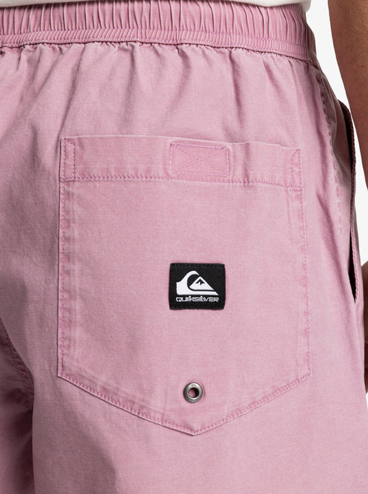 Quiksilver Men's Taxer Ws Elasticated Shorts Lilac EQYWS03877_PJM0