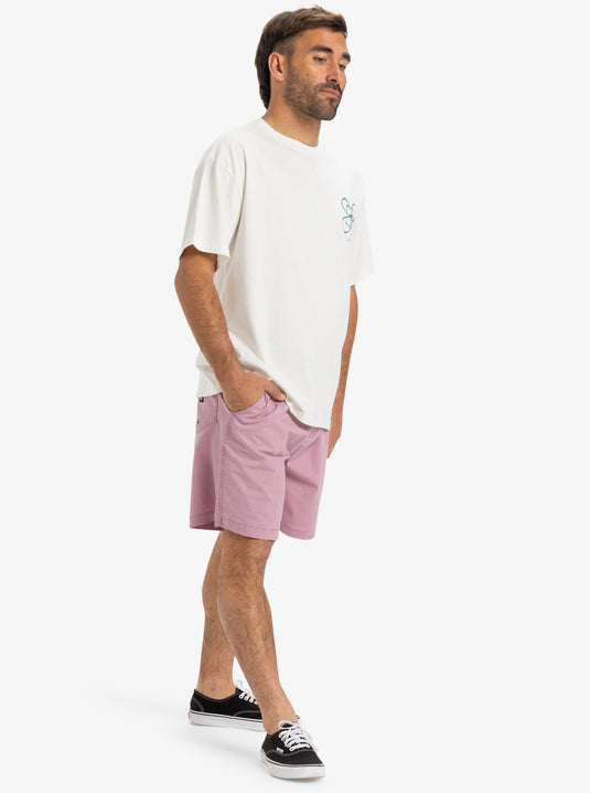 Quiksilver Men's Taxer Ws Elasticated Shorts Lilac EQYWS03877_PJM0