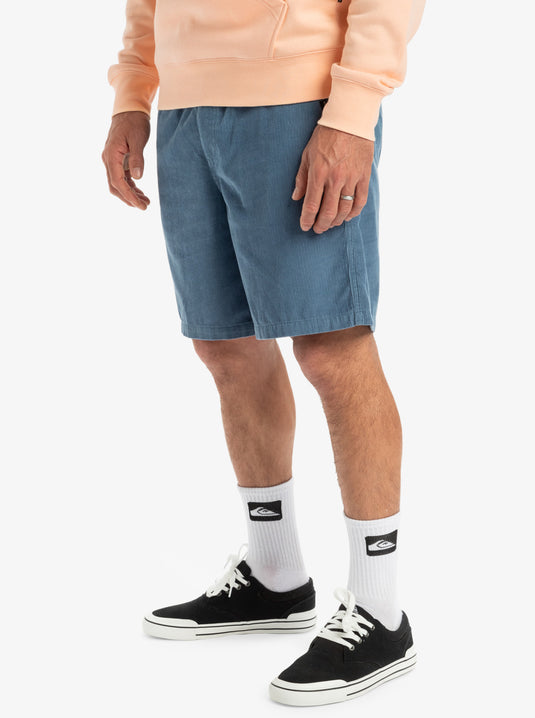 Quiksilver Men's Taxer 18
