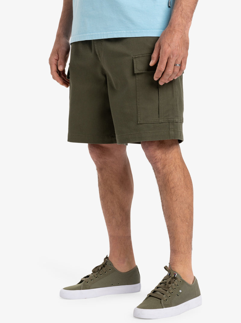 Load image into Gallery viewer, Quiksilver Men&#39;s Taxer Cargo 19&#39;&#39; Shorts Grape Leaf  EQYWS03879_CRE0
