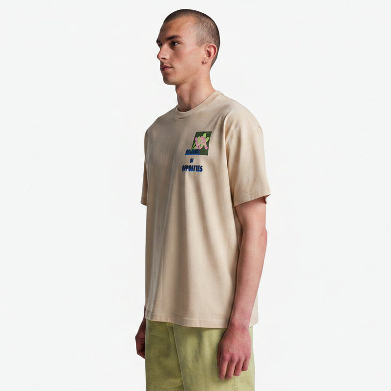 Load image into Gallery viewer, RVCA Men's AF Love Birds SS T-Shirt EVYZT00310-SEZO
