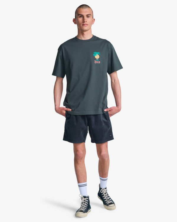 Load image into Gallery viewer, RVCA Men's Frond Mural T-Shirt Pirate Black EVYZT00335-PTK
