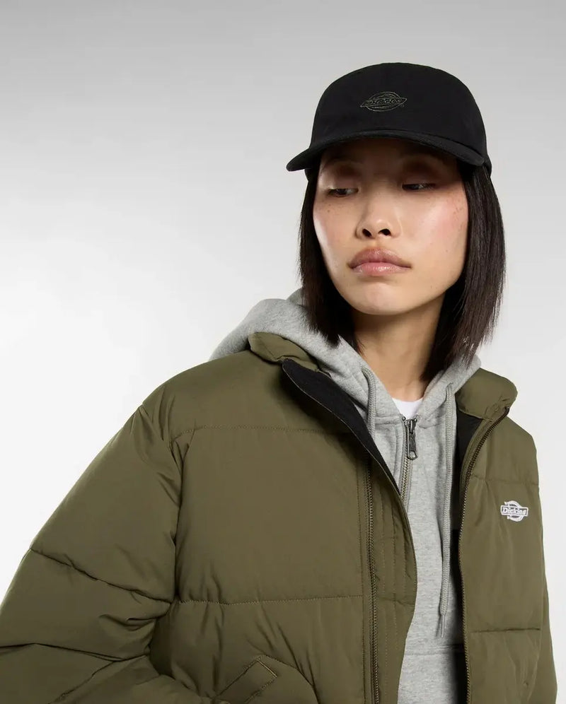 Load image into Gallery viewer, Dickies Unisex Duck Canvas Dad Cap Black DK0A87NFBLK1
