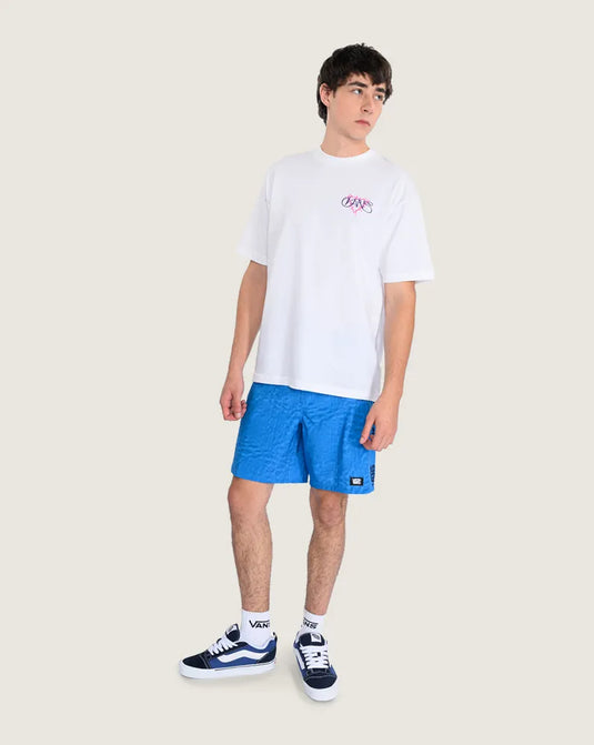Vans Men's Daily Aop Sideline Boardshorts Bright Azure VN000M8FFNM