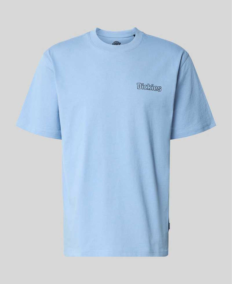 Load image into Gallery viewer, Dickies Men's Fairlawn Midweight T-Shirt Endless Sky DK0A88GEL391
