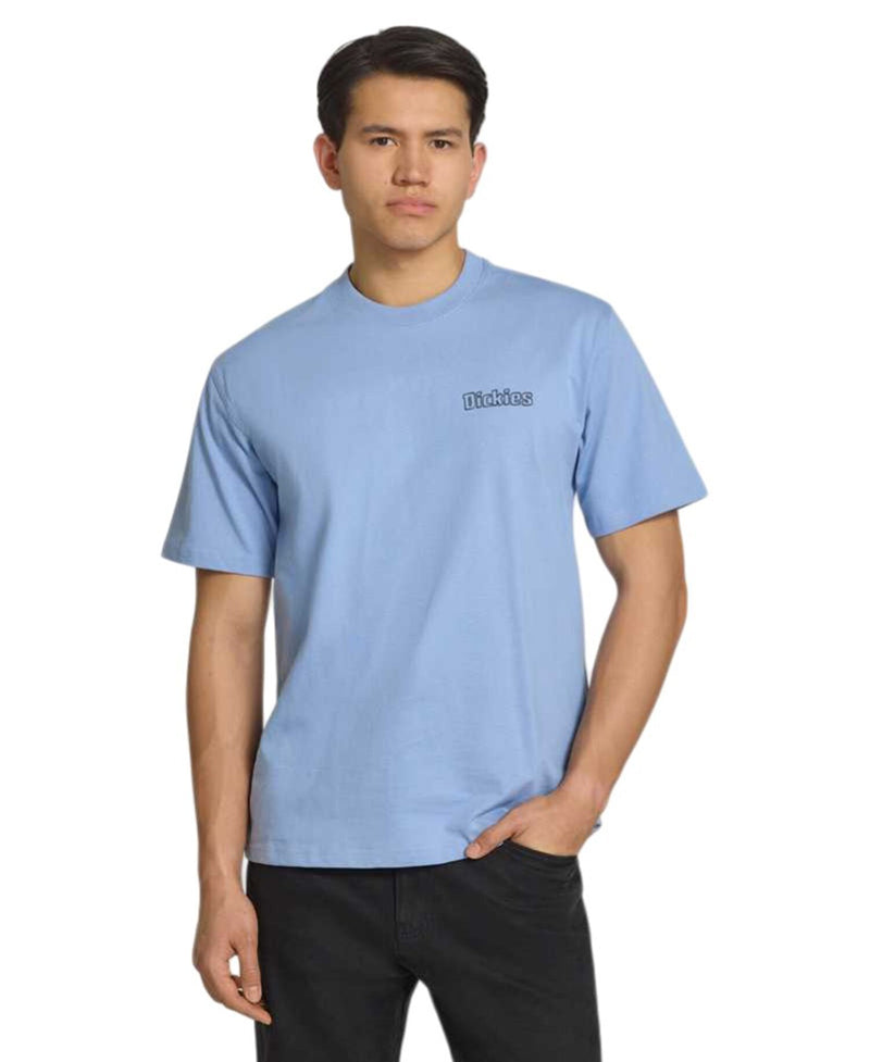 Load image into Gallery viewer, Dickies Men's Fairlawn Midweight T-Shirt Endless Sky DK0A88GEL391
