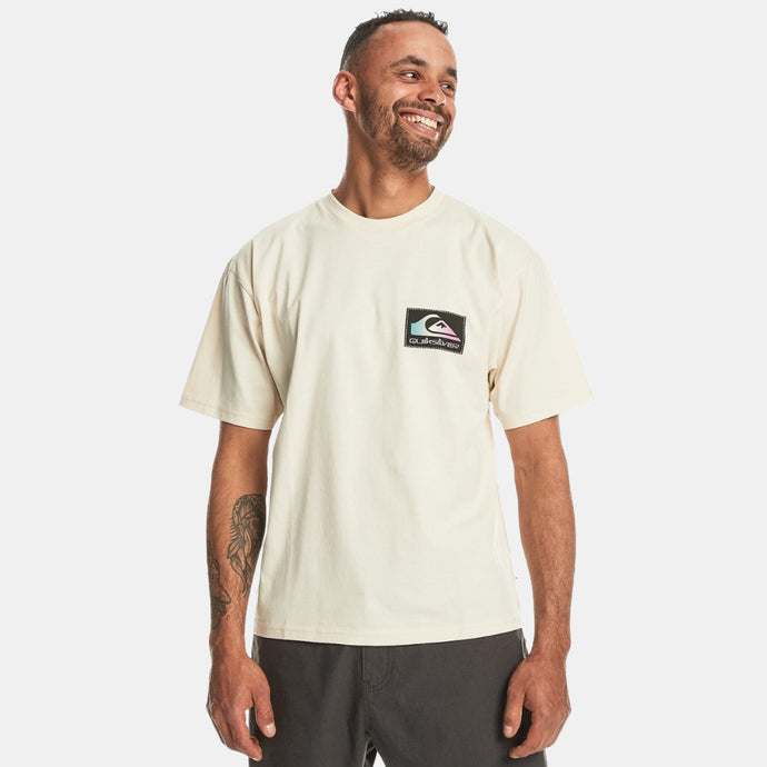 Quiksilver Men's Back Flash T-Shirt Birch EQYZT07605-WDW0