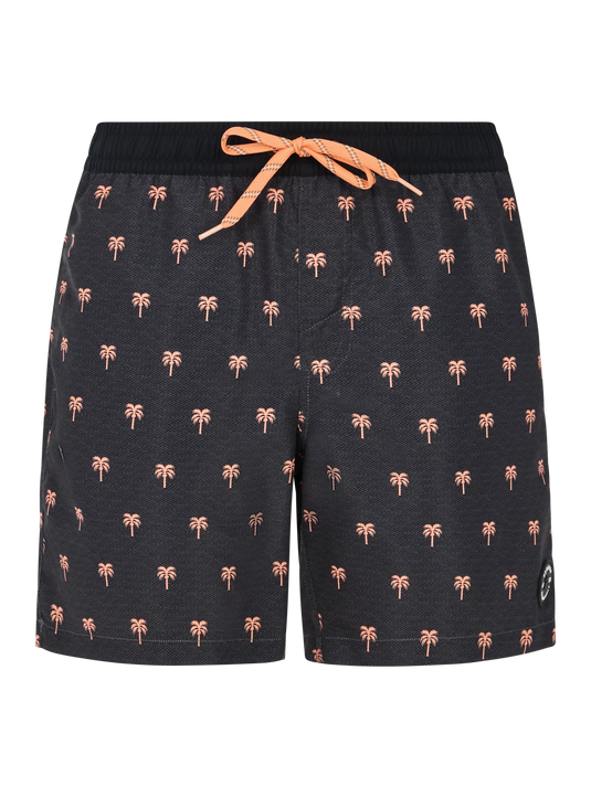 Protest Men's Parco Short Swim Shorts Deep Grey 71751028_899