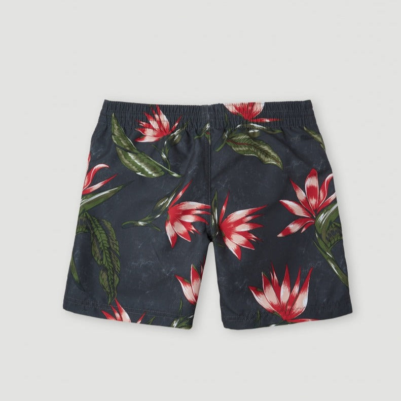 Load image into Gallery viewer, O&#39;Neill Print Swim Shorts 13&quot; Grey AO 4800005-38010
