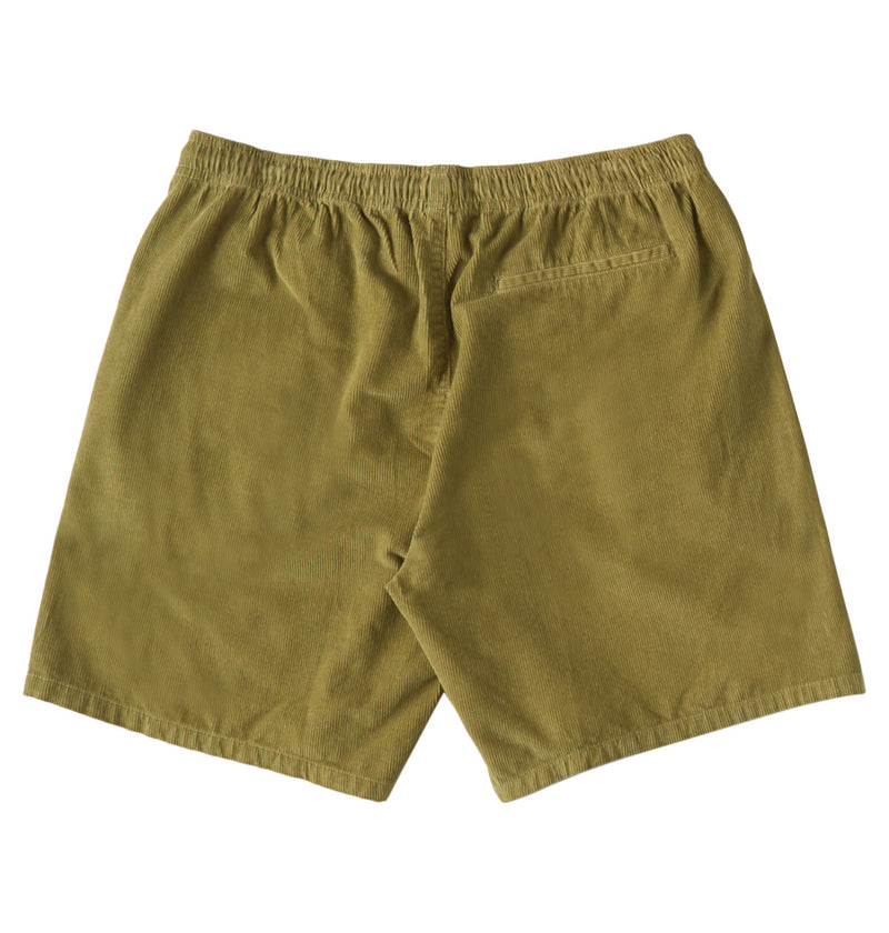 Load image into Gallery viewer, DC Arbrupter 18&quot; Corduroy Shorts Sage EDYWS03155-GJT0
